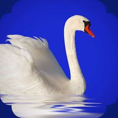 Родник 🇷🇺 | О Родине avatar