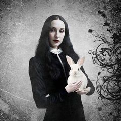 Нуарушки 🐇 avatar