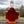 Maple Chronicles 🇨🇦 avatar