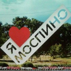 Моспинское территориальное управление avatar