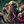 Legion Napier: Quiet Riot avatar