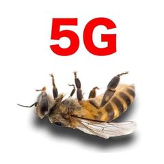 Stop 5G Romania 🇷🇴 avatar