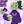 🎋𝘿𝙖𝙣𝙙𝙮 𝙬𝙤𝙧𝙡𝙙 𝙜𝙖𝙢𝙚𝙨🧃 avatar