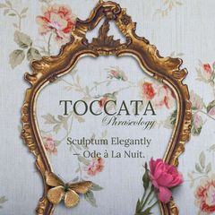 TOCCATA : Sculptum Elegantly — Ode à La Nuit. avatar