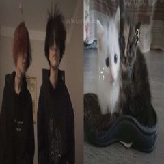 акумк avatar