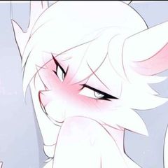 Anime&Furry avatar