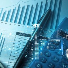 The financial criminals avatar