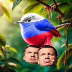 💥В роботе💥@CRYSH_LV avatar