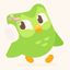 duolingo confession!! 🦉📚 Avatar