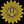 The Great Jihad zone avatar