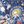 : : OBSESSION confessions ! avatar