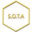 S.O.T.A. Avatar