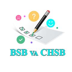 BSB va CHSB Summativ va Formativ baholash | ORIGINAL avatar