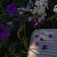 أَثَـر🪻 avatar