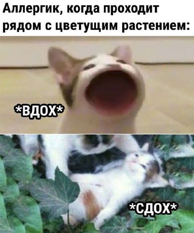 Post media