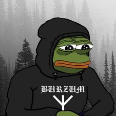 Леса и мемеса avatar