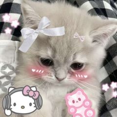 канал багини🧚♀🌚🌸 avatar
