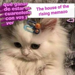 The house of the rising memazo avatar