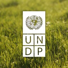 UNDP Uzbekistan avatar