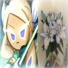 𝗯𝗹𝘂𝗲 𝗹𝗶𝗹𝘆 𝗰𝗼𝗼𝗸𝗶𝗲 𝗰𝗳+𝗱𝗮𝗶𝗹𝘆 avatar