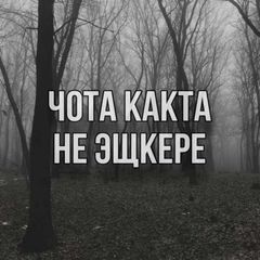 [Auctor ебашит🚬] avatar