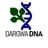 Dargwa DNA Chat