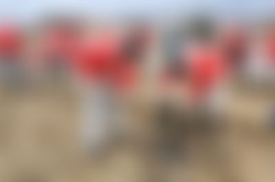 Post media background