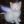 htpf³⁶⁹ avatar