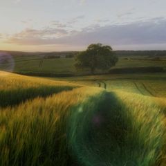 Кинодорога Студия avatar