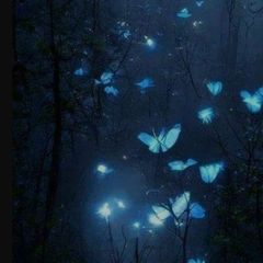💙☁️ Blue paradise ☁️💙 avatar