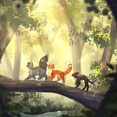 🍀INFO | Cats warriors roleplay avatar