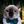 shtpost avatar