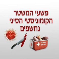 פשעי המשטר הסיני נחשפים avatar