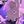 Jojo confessions avatar