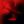 𝙯𝙫𝙚𝙧𝙖𝙭𝙭𝙭𝙡¹ avatar
