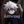 s o c i o avatar