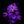 Flower avatar