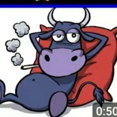 UNDICESIMO TORO ♉ avatar