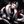 Daily Divus Crewel avatar