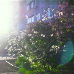 Light aesthetic pic cf & daily avatar