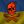 𝚉𝙻𝙾𝚈 𝙷𝙾𝙷𝙾𝙻 avatar