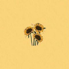 Sunflower 💛🌻 avatar
