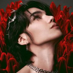  𝗙𝗢𝗫 avatar