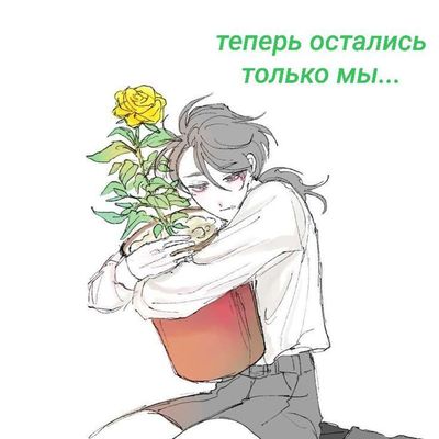 Post media