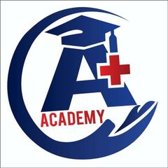 A+ ACADEMY | 9.0 avatar