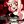 hate fandom hellverse cf avatar