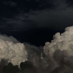 عِــلــمٌ يُـنتَـفَــعُ بِــهِ avatar