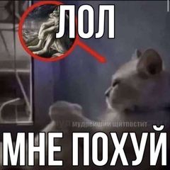 Похуй кф avatar