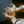 grace from heaven avatar