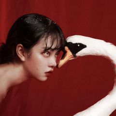 ﹙ࣹ𝖣𝖾𝗏𝖺さ𝗍𝗎𝗍𝗈𝗋𝗂𝖺𝗅 ː 🦢﹚ avatar